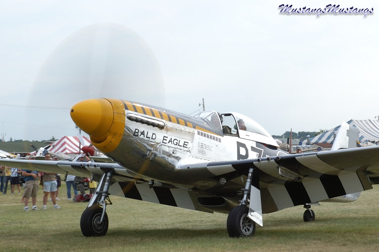 44-73029_01972_cf1.jpg