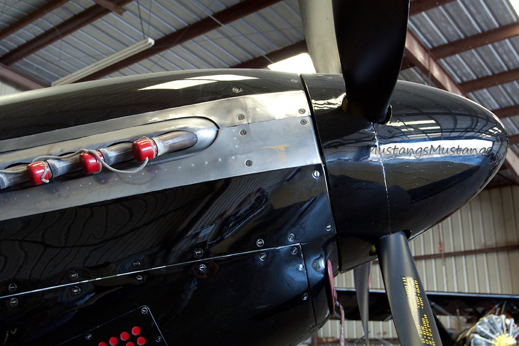 44-73079_8035_cf1.jpg