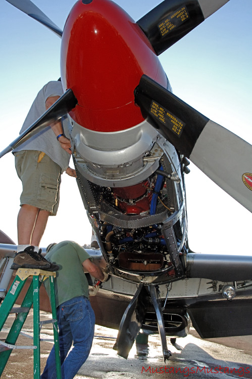 44-73129_02061_cf1.jpg