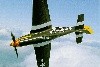 P-51