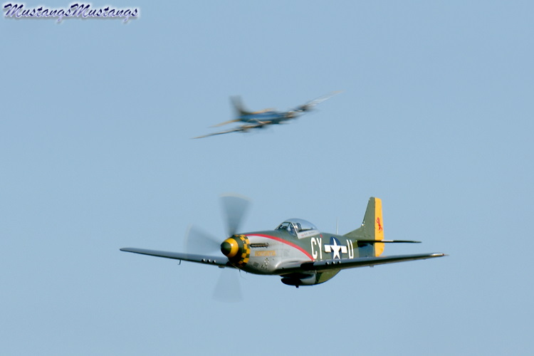 44-73264_02303_cf1.jpg