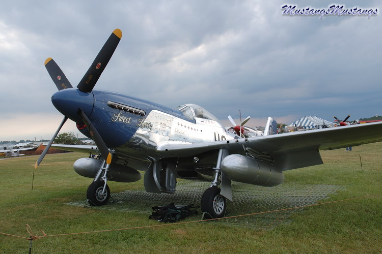 44-73279_02352_cf1.jpg