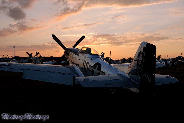44-73279_02381_cf1.jpg
