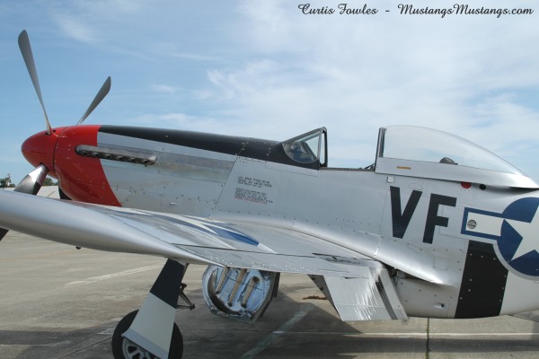 44-73339_02461_cf1.jpg