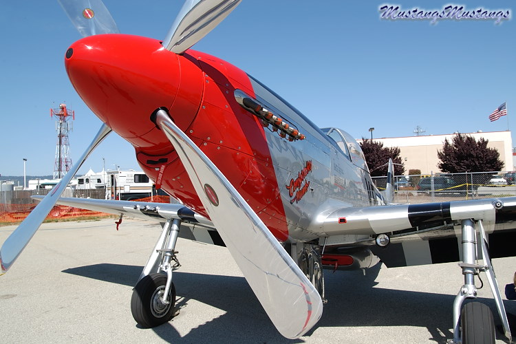 44-73339_02472_cf1.jpg