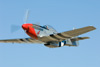P-51