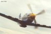 P-51