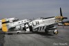 P-51