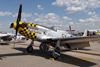 P-51