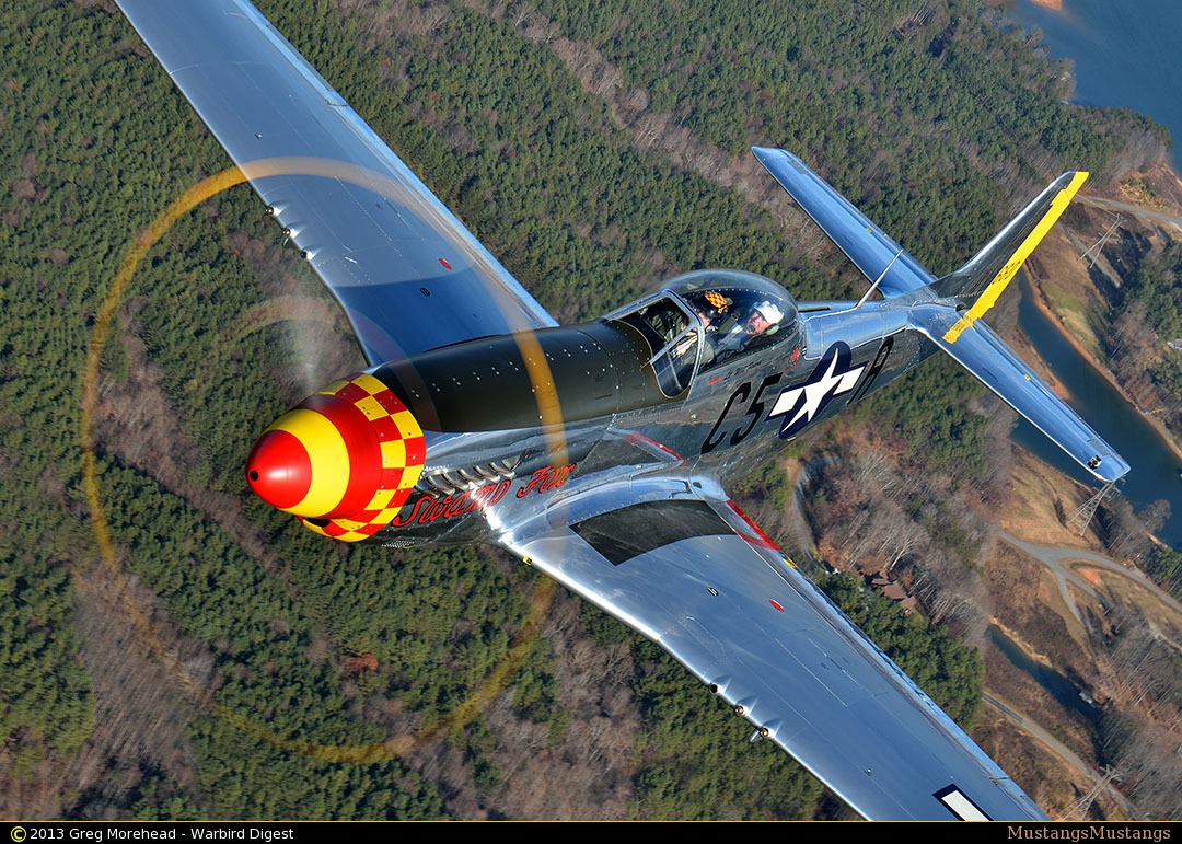 44-74202_9127_gm2.jpg