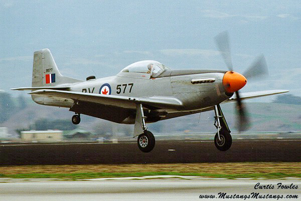44-74311_03219_cf1.jpg