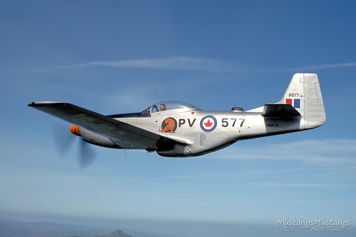 44-74311_03223_cf1.jpg