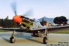 P-51