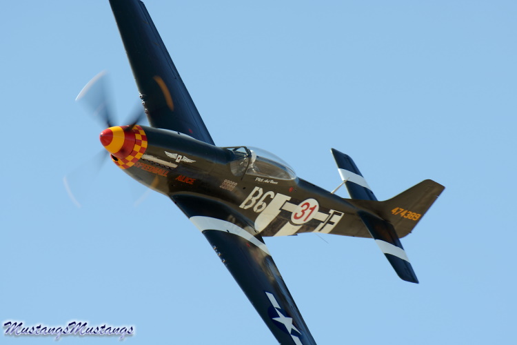44-74389_03273_cf1.jpg