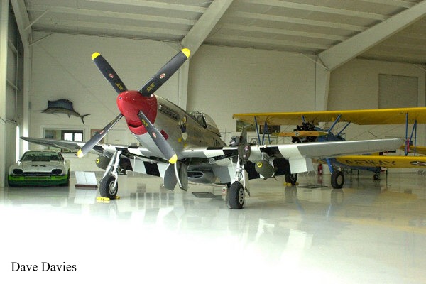 44-74409_03363_dd1.jpg