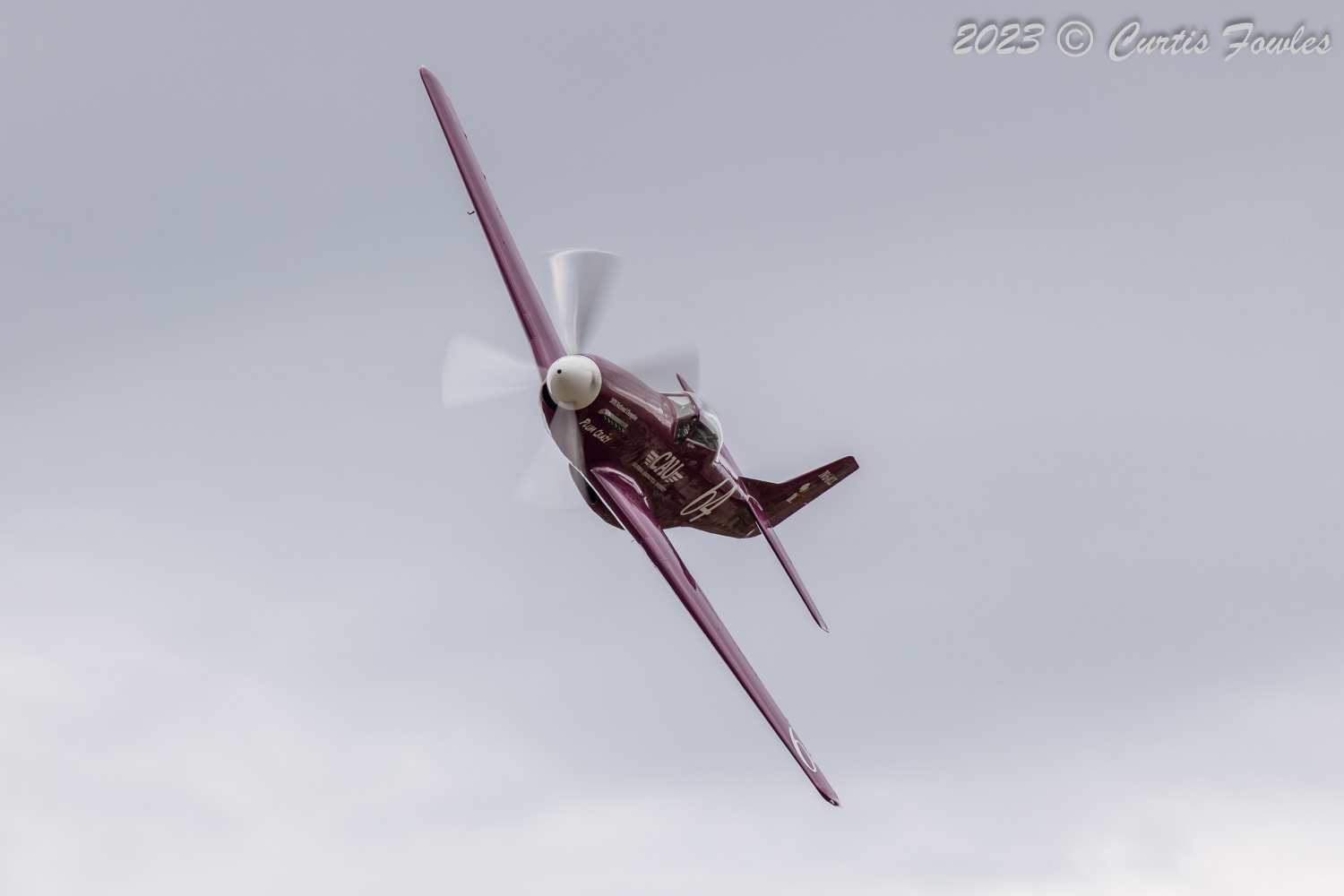44-74423_10473_cf1.jpg