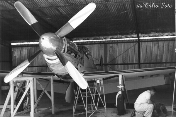 44-74430_06186_ts4.jpg
