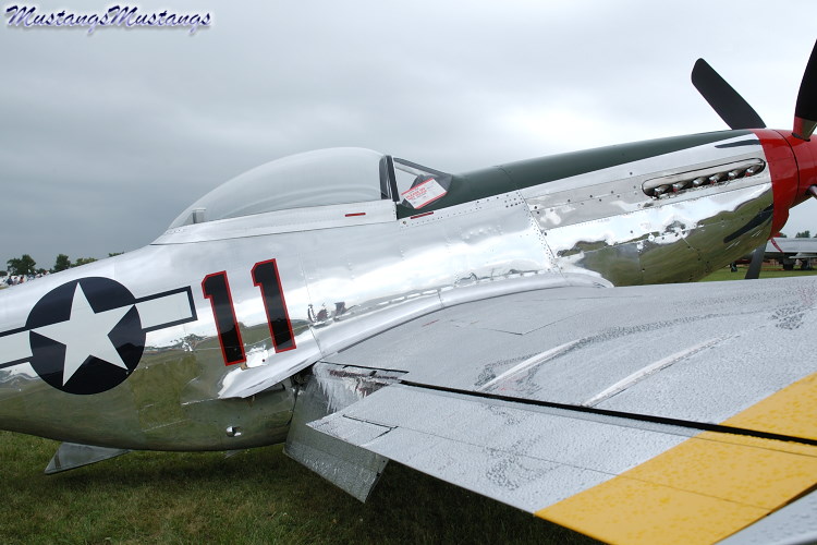 44-74446_03494_cf1.jpg
