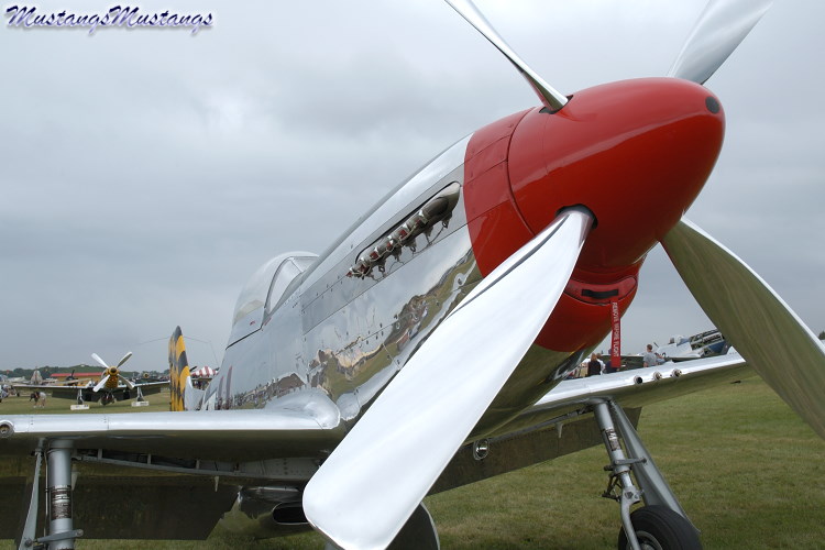 44-74446_03497_cf1.jpg