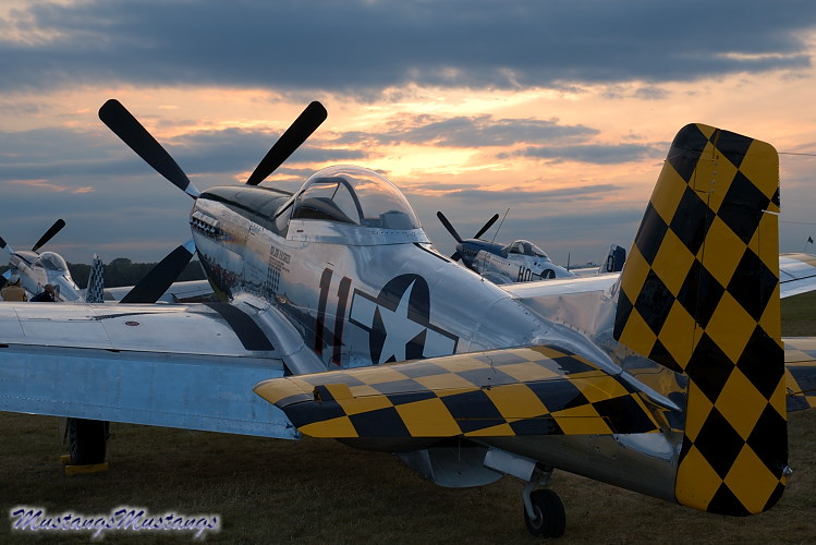 44-74446_03521_cf1.jpg