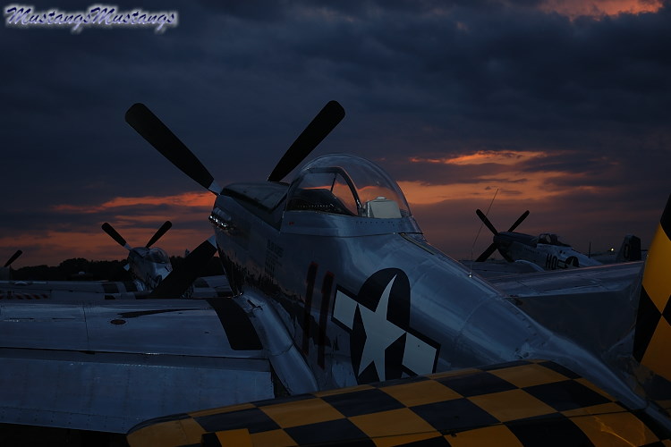 44-74446_03527_cf1.jpg