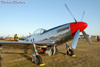 P-51