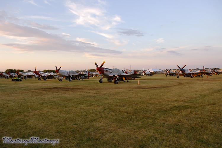 44-74458_03608_cf1.jpg