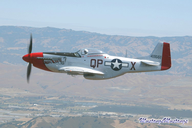 44-74494_03774_cf1.jpg