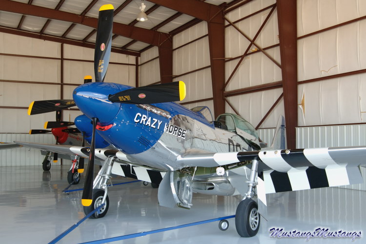 44-74502_03855_cf1.jpg