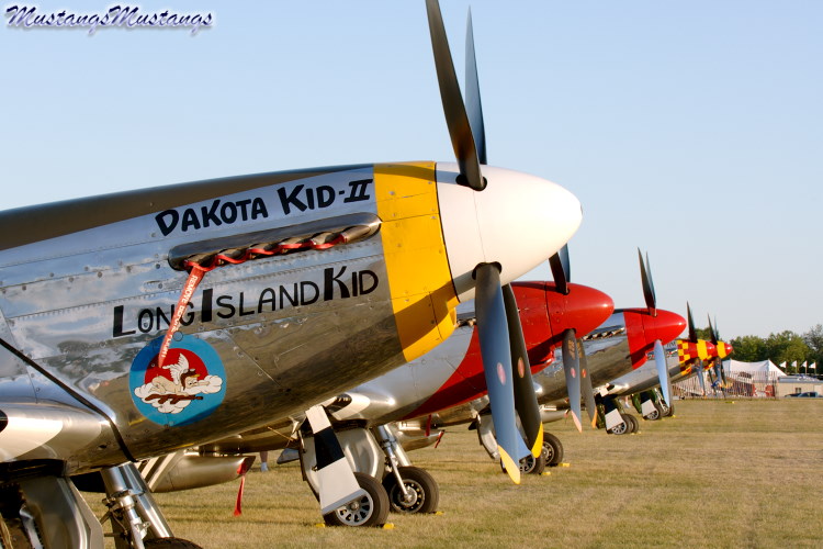 44-74524_03949_cf1.jpg