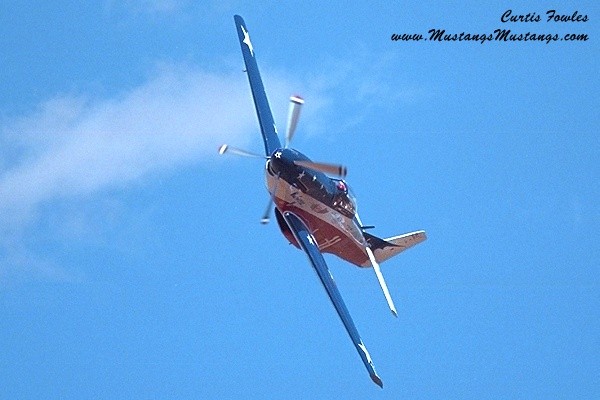 44-74536_03966_cf1.jpg
