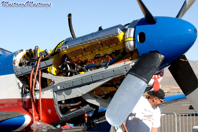 44-74536_04004_cf1.jpg