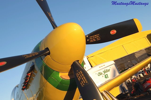 44-74739_04132_cf1.jpg