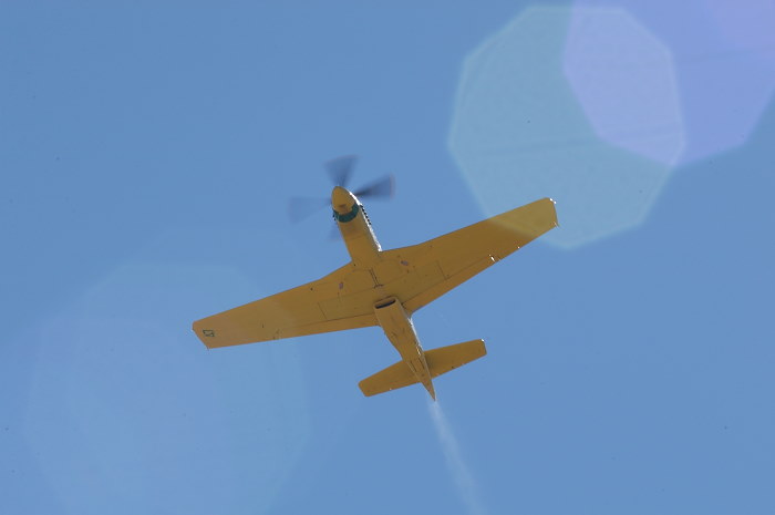 44-74739_04133_cf1.jpg