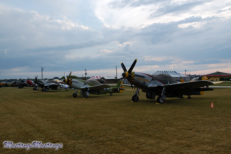 44-74878_04275_cf1.jpg