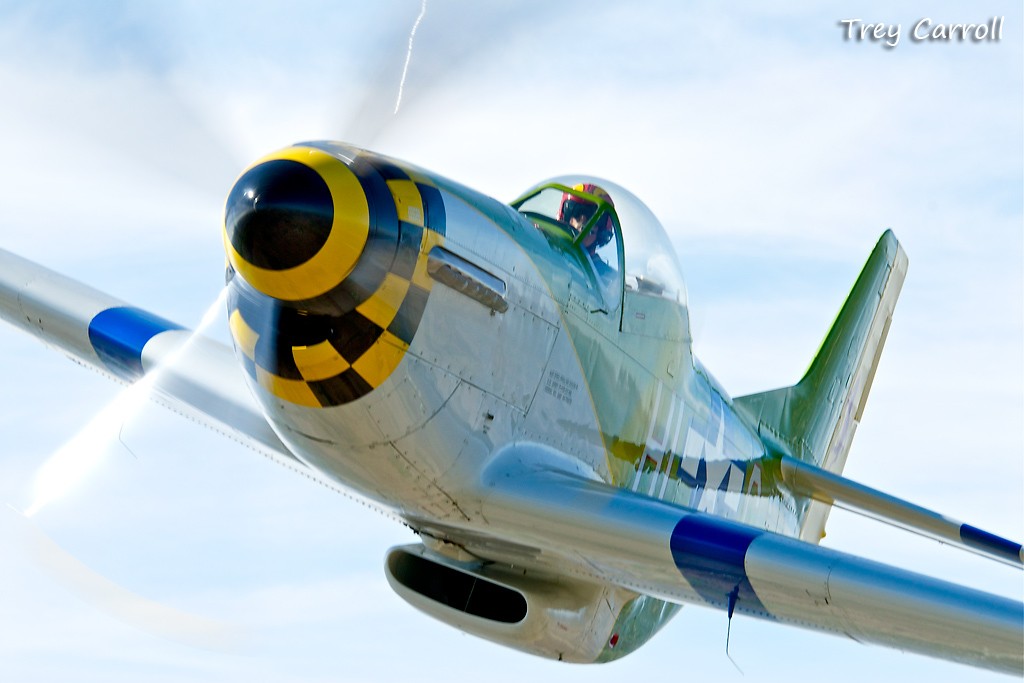 44-74878_8380_tc3.jpg