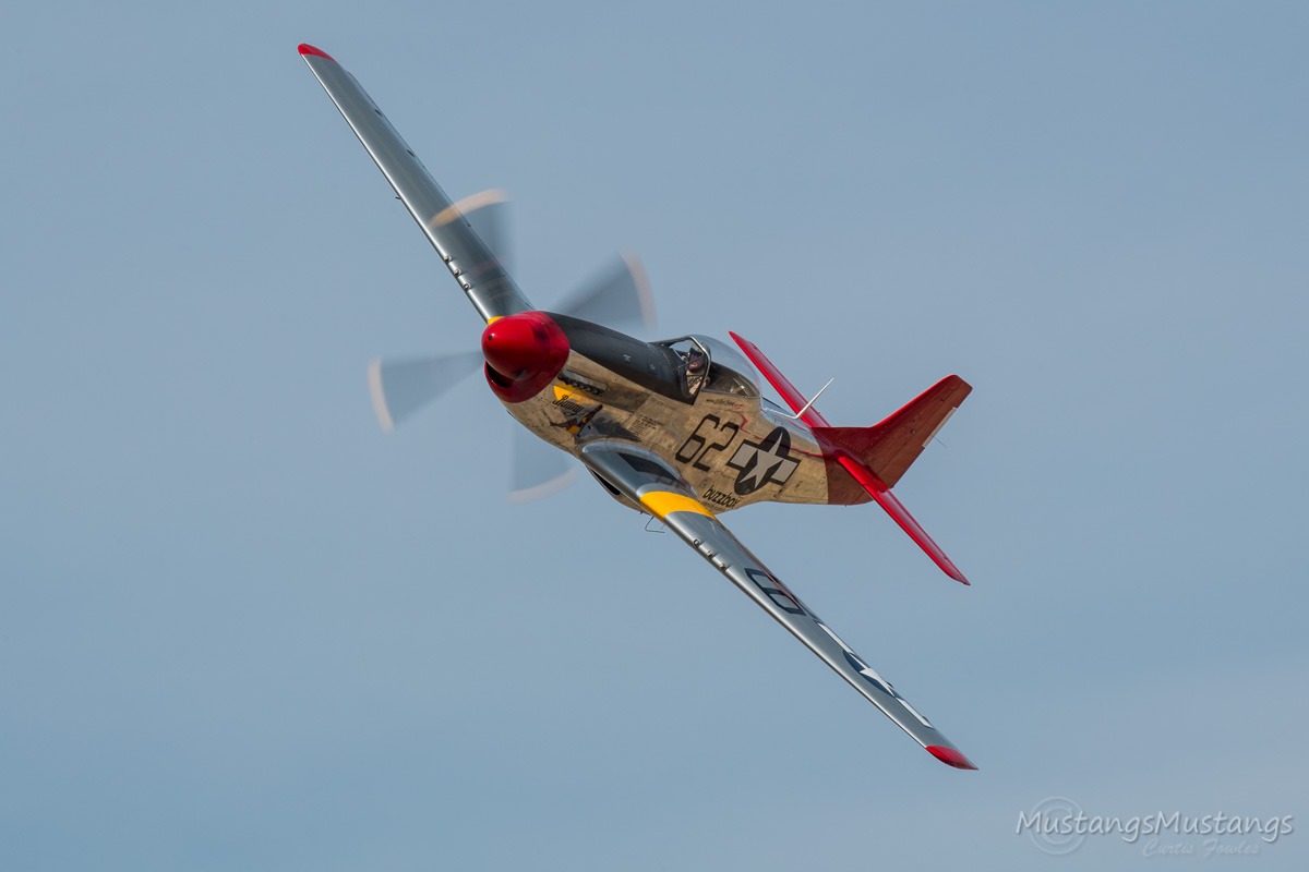 44-74908_9540_cf1.jpg