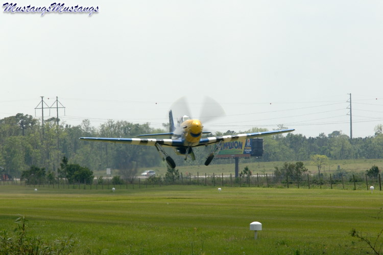 44-74976_04371_cf1.jpg