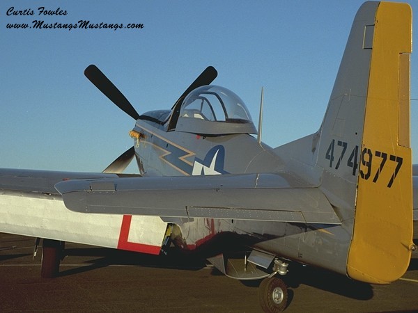 44-74977_04385_cf1.jpg