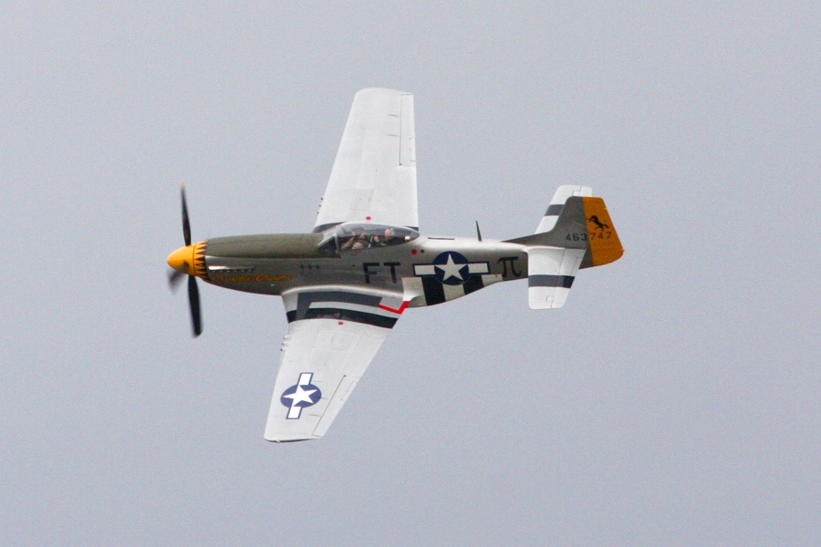 44-74977_7880_df3.jpg