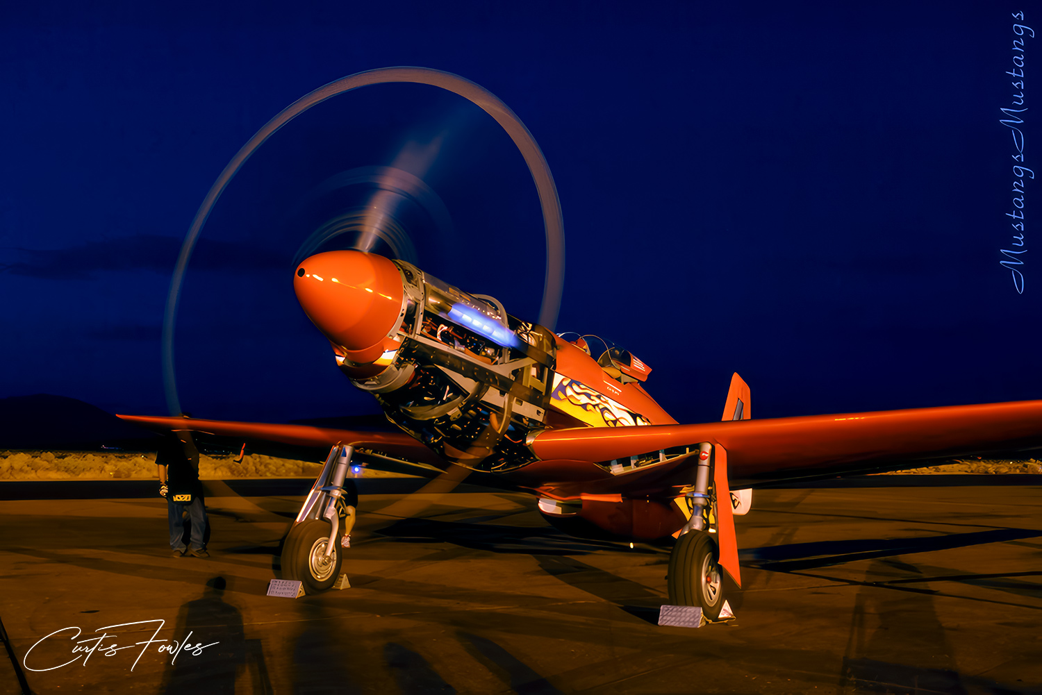 44-74996_04446_cf1.jpg