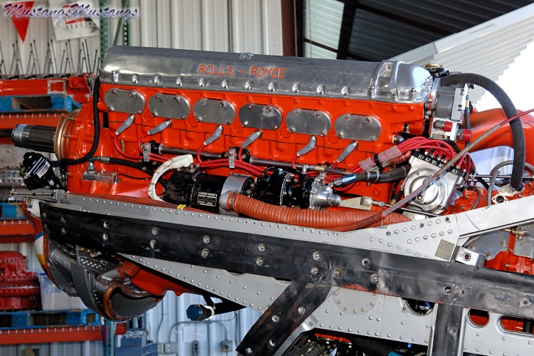 44-74996_04447_cf1.jpg
