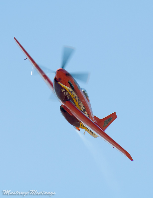 44-74996_04450_cf1.jpg