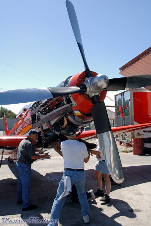 44-74996_04461_cf1.jpg