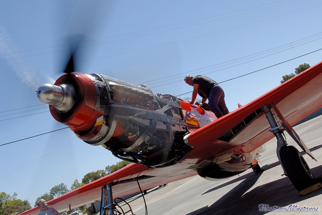 44-74996_04462_cf1.jpg