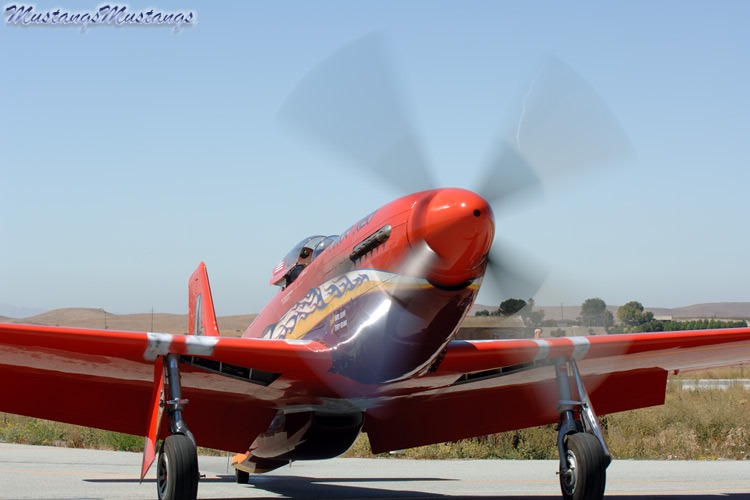 44-74996_04467_cf1.jpg