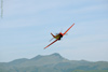 P-51