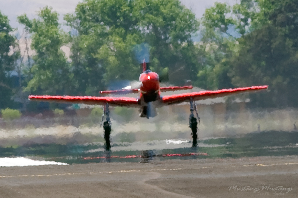 44-74996_04483_cf1.jpg