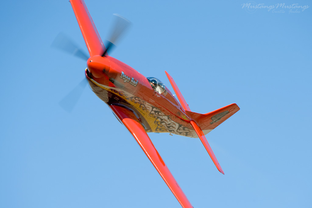 44-74996_04494_cf1.jpg