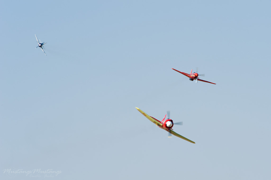 44-74996_04504_cf1.jpg